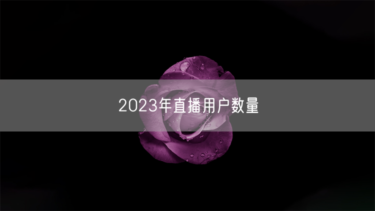 2023年直播用户数量