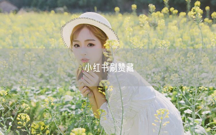 小红书刷赞藏