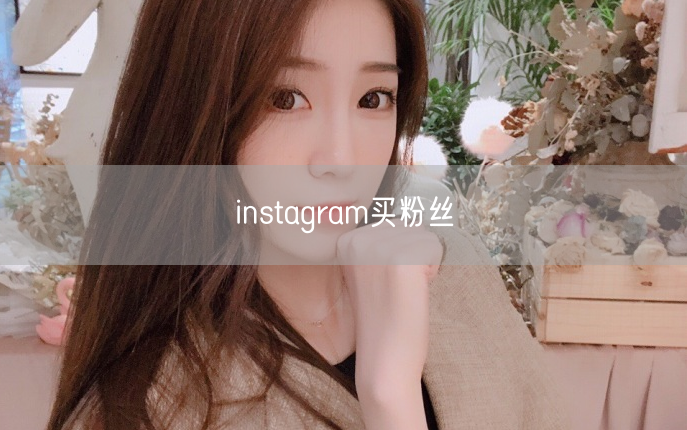 instagram买粉丝