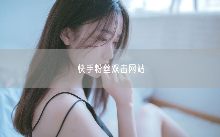 快手粉丝双击网站