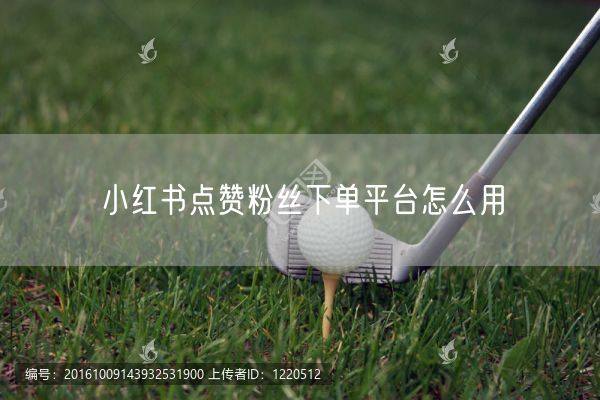 小红书点赞粉丝下单平台怎么用