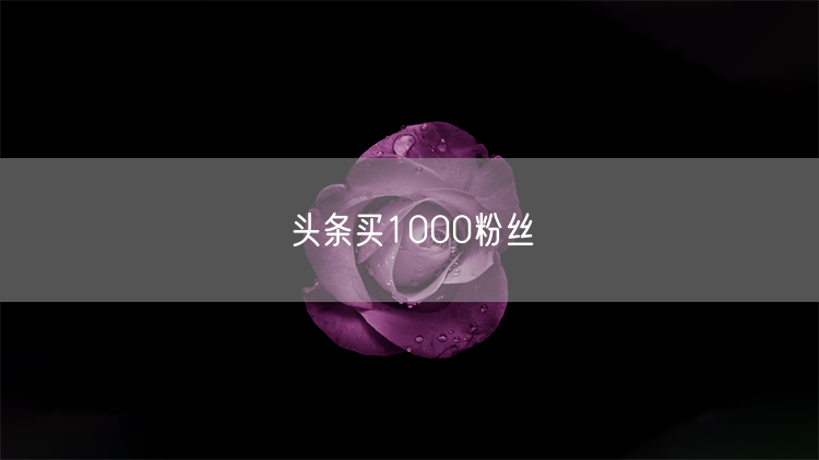 头条买1000粉丝