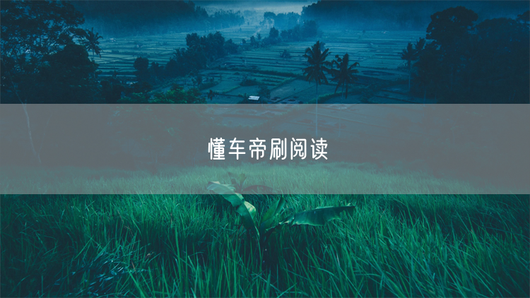 懂车帝刷阅读
