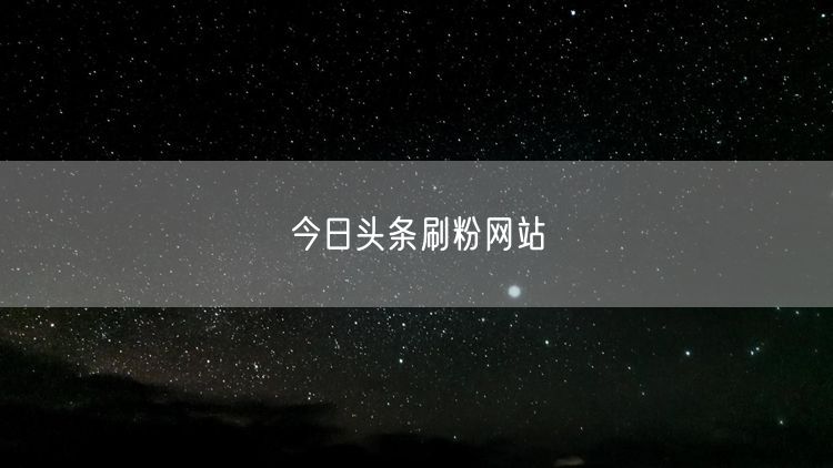 今日头条刷粉网站