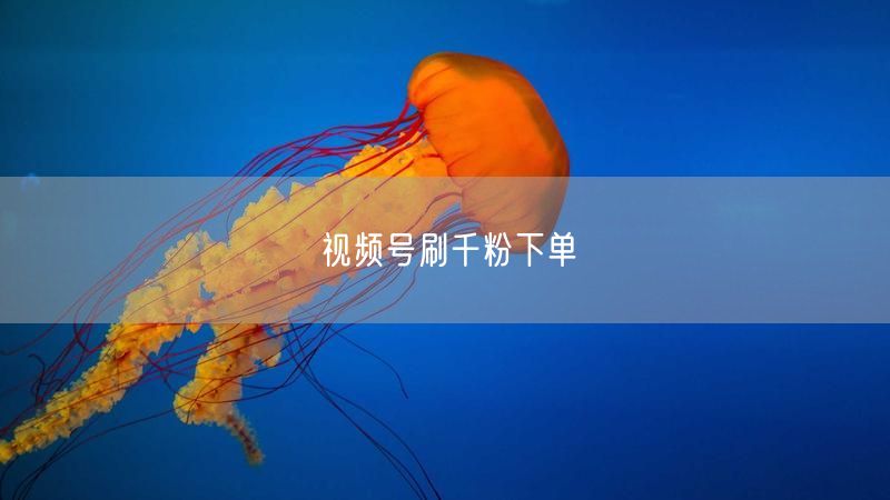 视频号刷千粉下单
