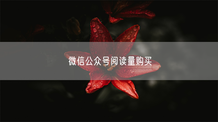 微信公众号阅读量购买