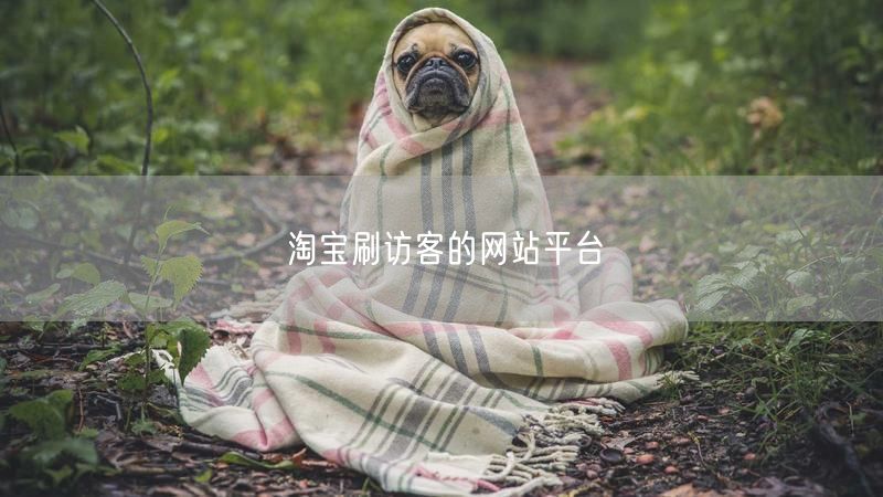 淘宝刷访客的网站平台