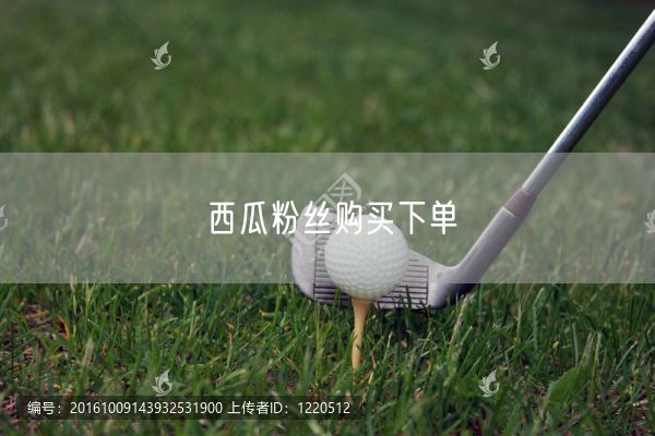西瓜粉丝购买下单