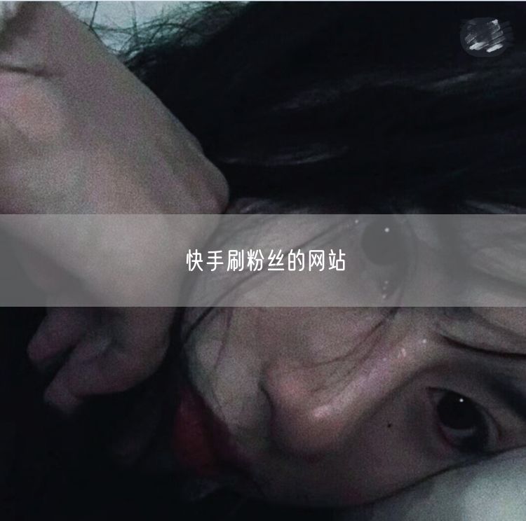 快手刷粉丝的网站