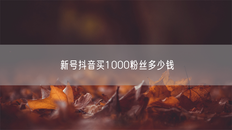 新号抖音买1000粉丝多少钱