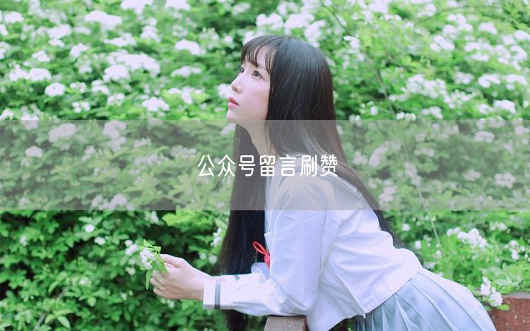 公众号留言刷赞
