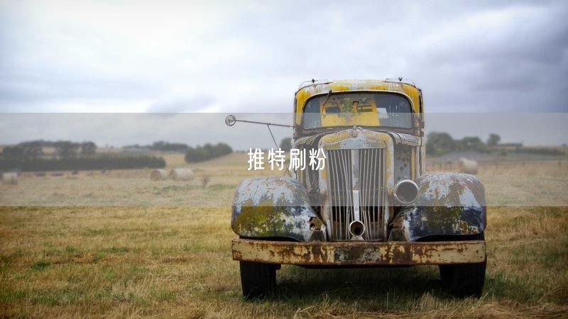 推特刷粉