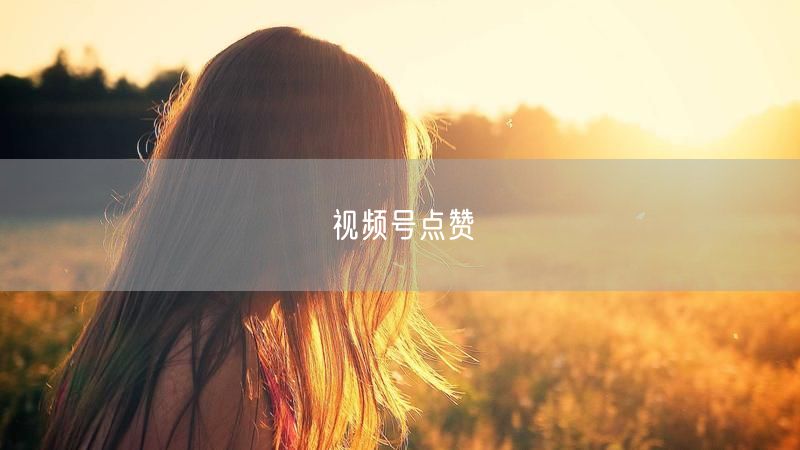 视频号点赞