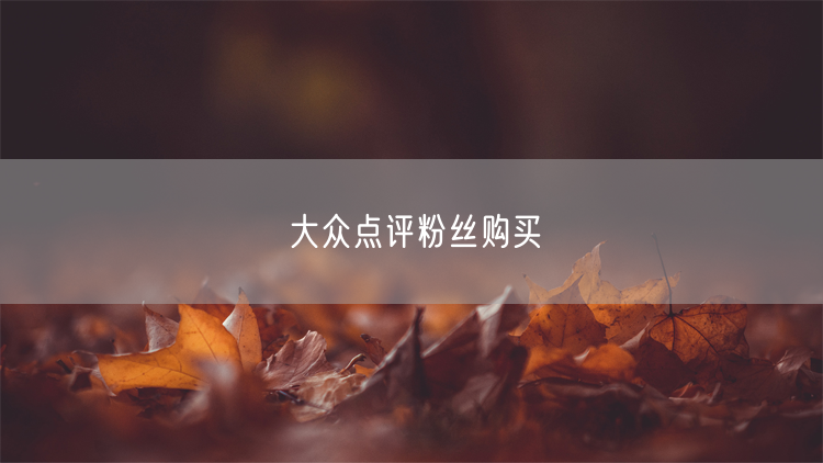 大众点评粉丝购买