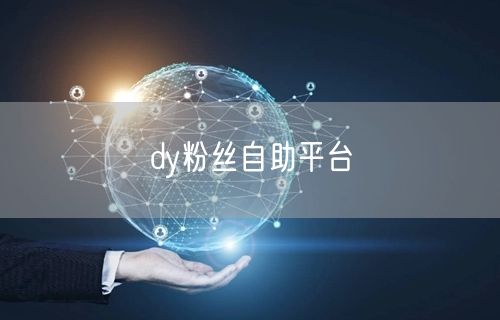 dy粉丝自助平台