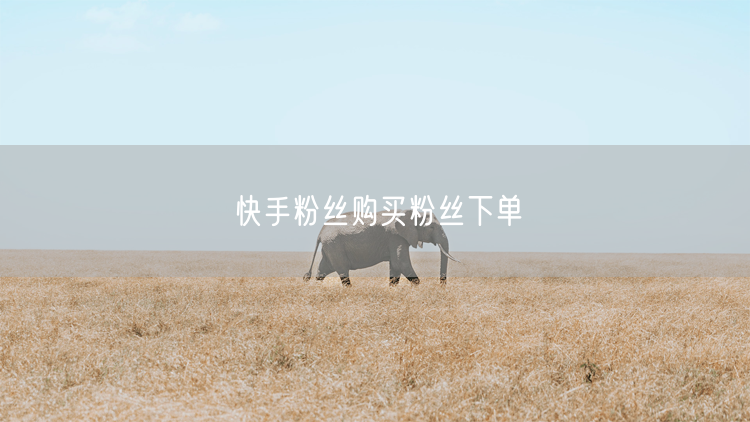 快手粉丝购买粉丝下单