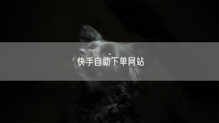 快手自助下单网站