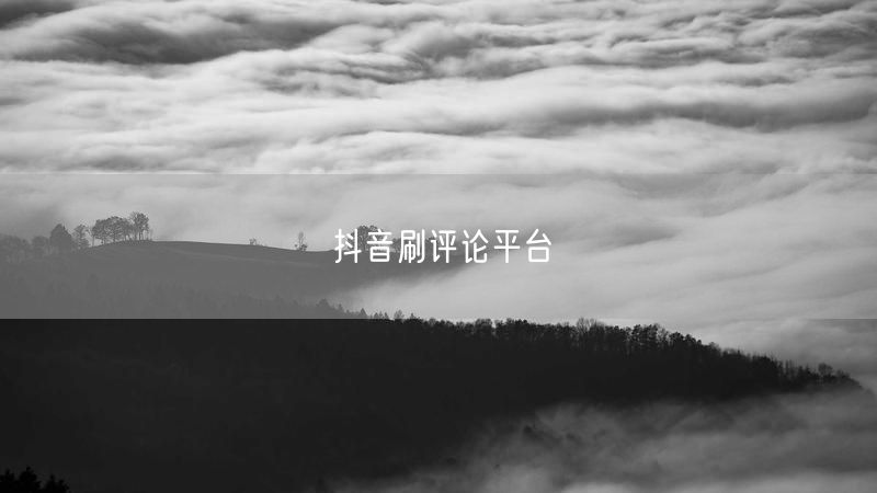 抖音刷评论平台
