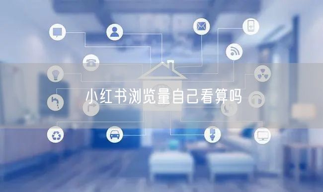 小红书浏览量自己看算吗