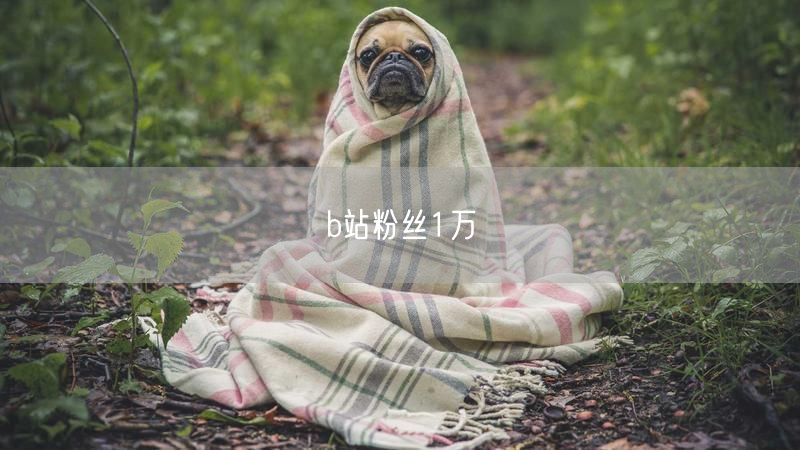 b站粉丝1万