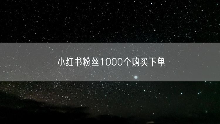 小红书粉丝1000个购买下单