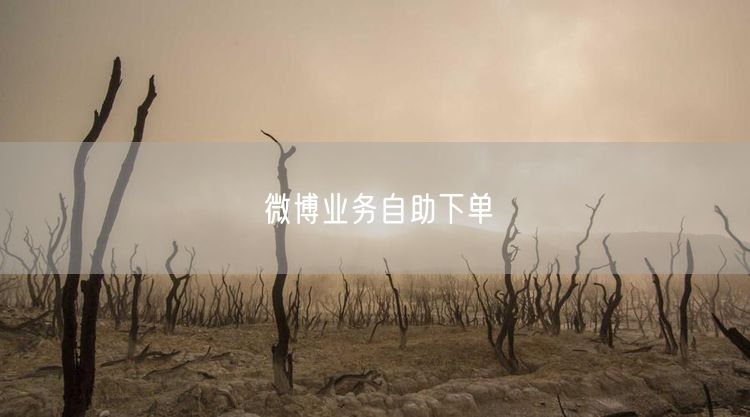 微博业务自助下单