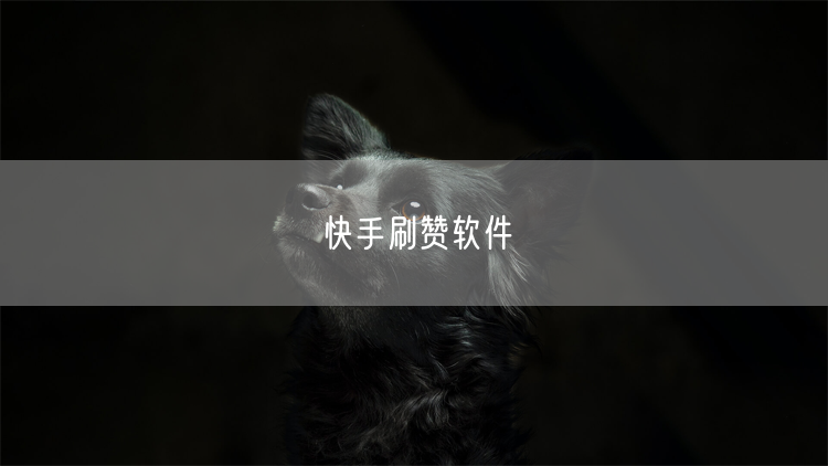 快手刷赞软件