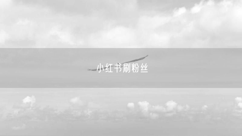 小红书刷粉丝
