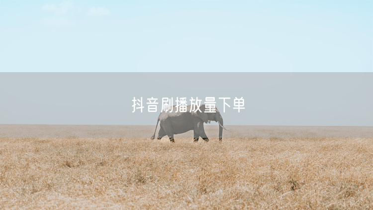 抖音刷播放量下单