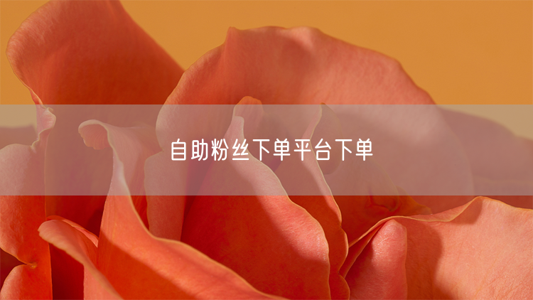 自助粉丝下单平台下单