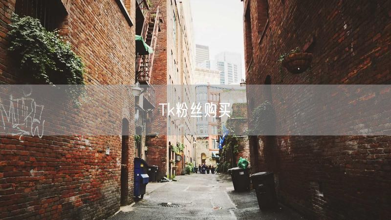 Tk粉丝购买