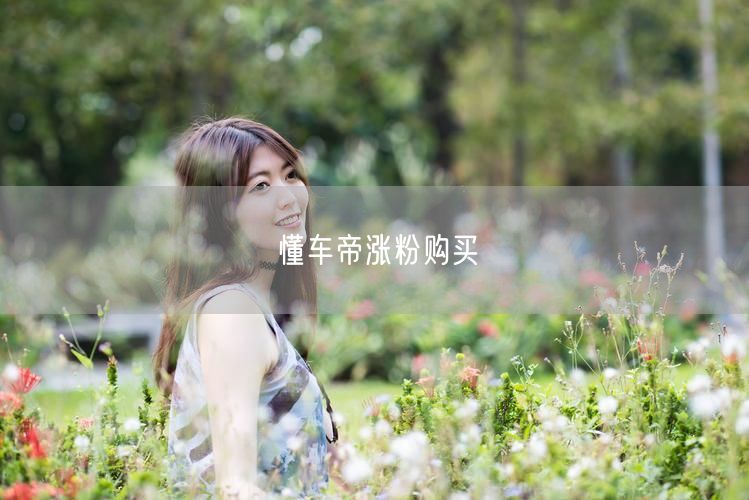 懂车帝涨粉购买