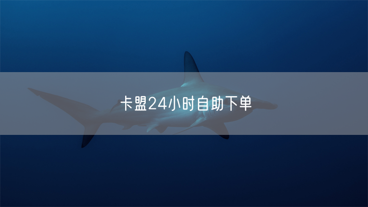 卡盟24小时自助下单