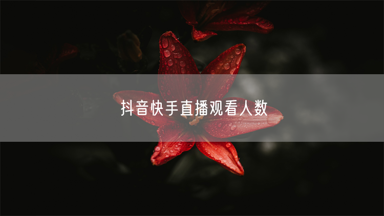 抖音快手直播观看人数