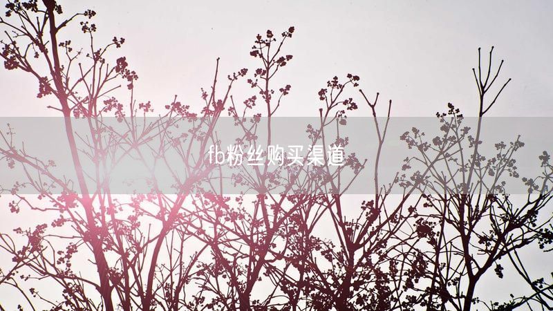 fb粉丝购买渠道