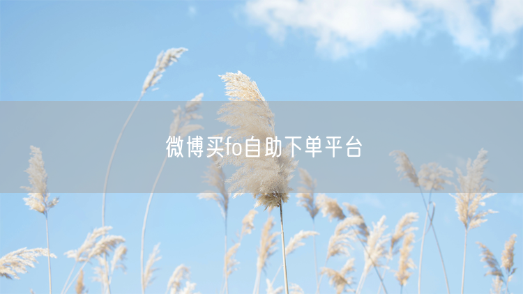 微博买fo自助下单平台