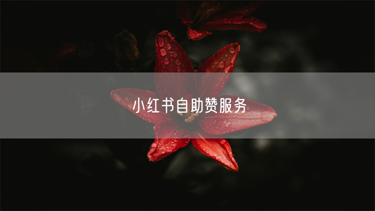 小红书自助赞服务