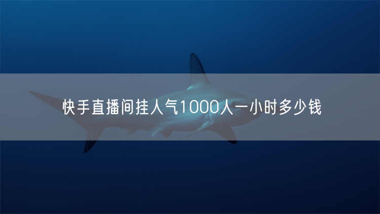 快手直播间挂人气1000人一小时多少钱