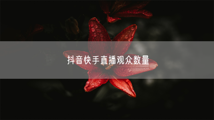 抖音快手直播观众数量