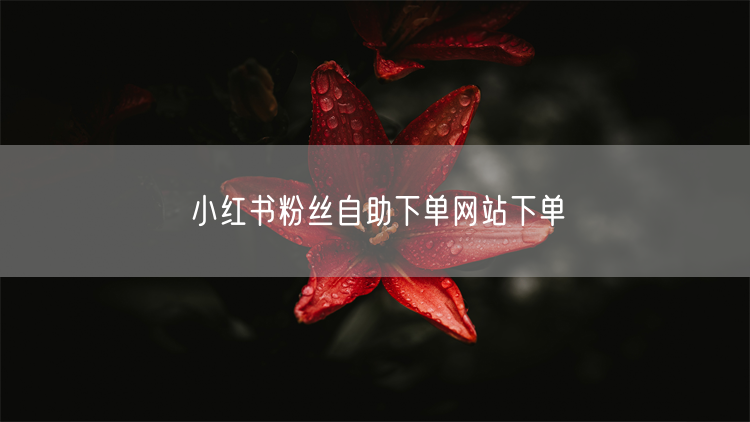 小红书粉丝自助下单网站下单