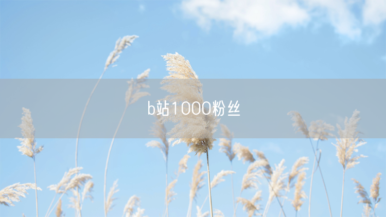 b站1000粉丝