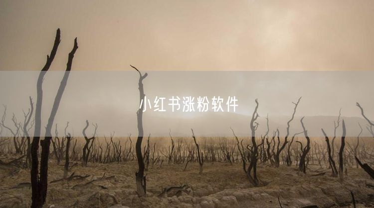 小红书涨粉软件