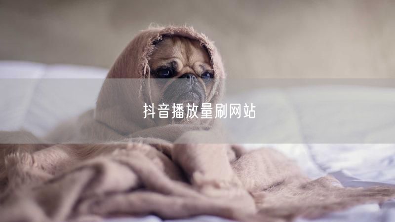 抖音播放量刷网站