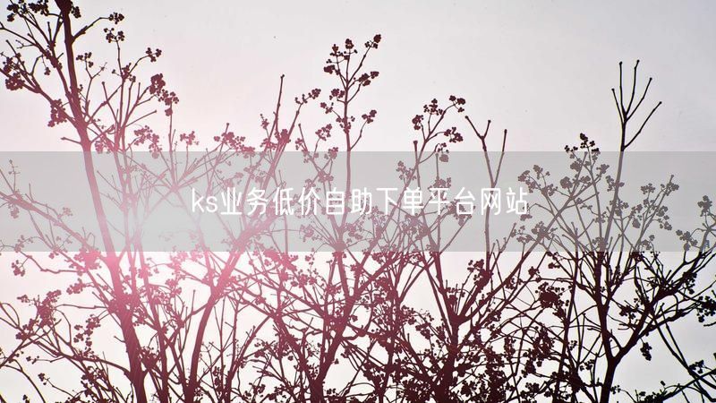 ks业务低价自助下单平台网站