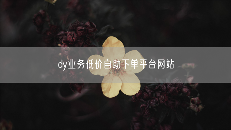 dy业务低价自助下单平台网站