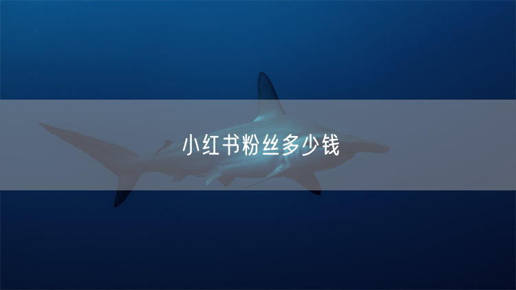 小红书粉丝多少钱