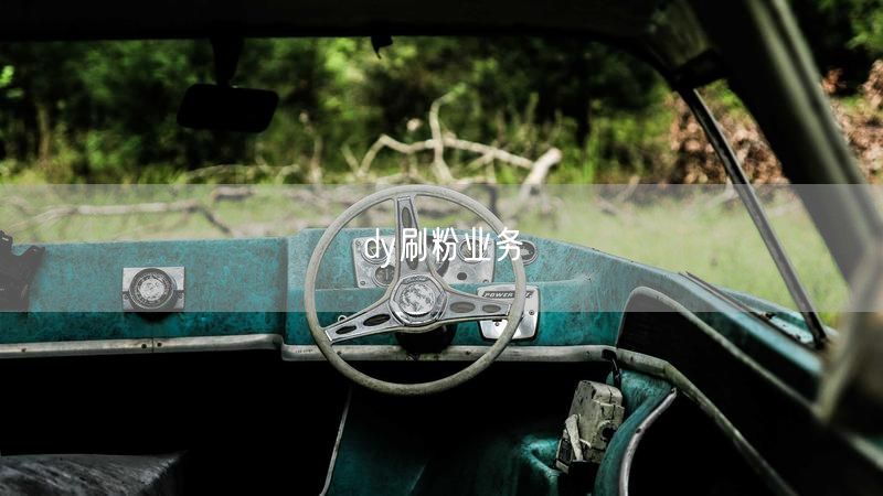 dy刷粉业务