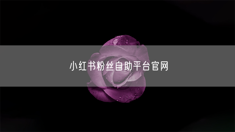 小红书粉丝自助平台官网