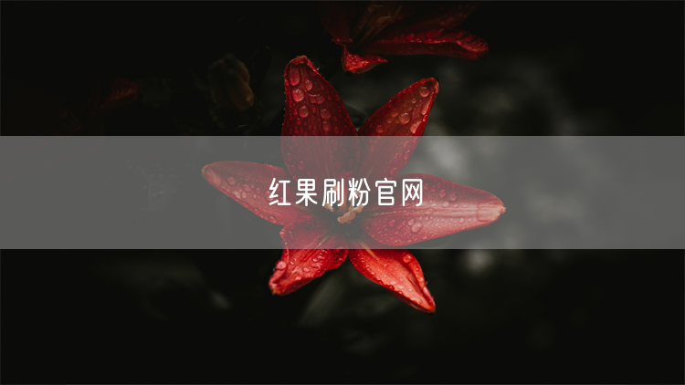 红果刷粉官网