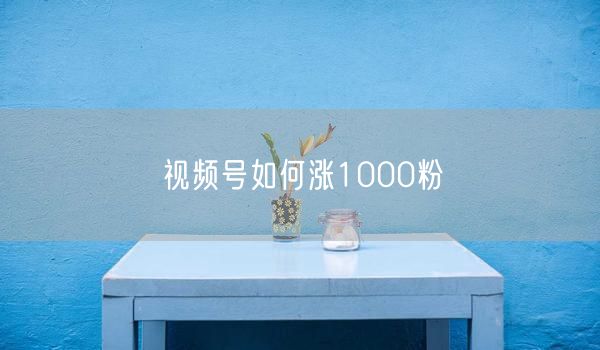 视频号如何涨1000粉